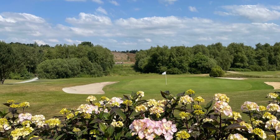Estate Vestjylland Cup